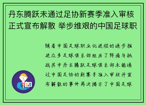 丹东腾跃未通过足协新赛季准入审核正式宣布解散 举步维艰的中国足球职业化困境再现
